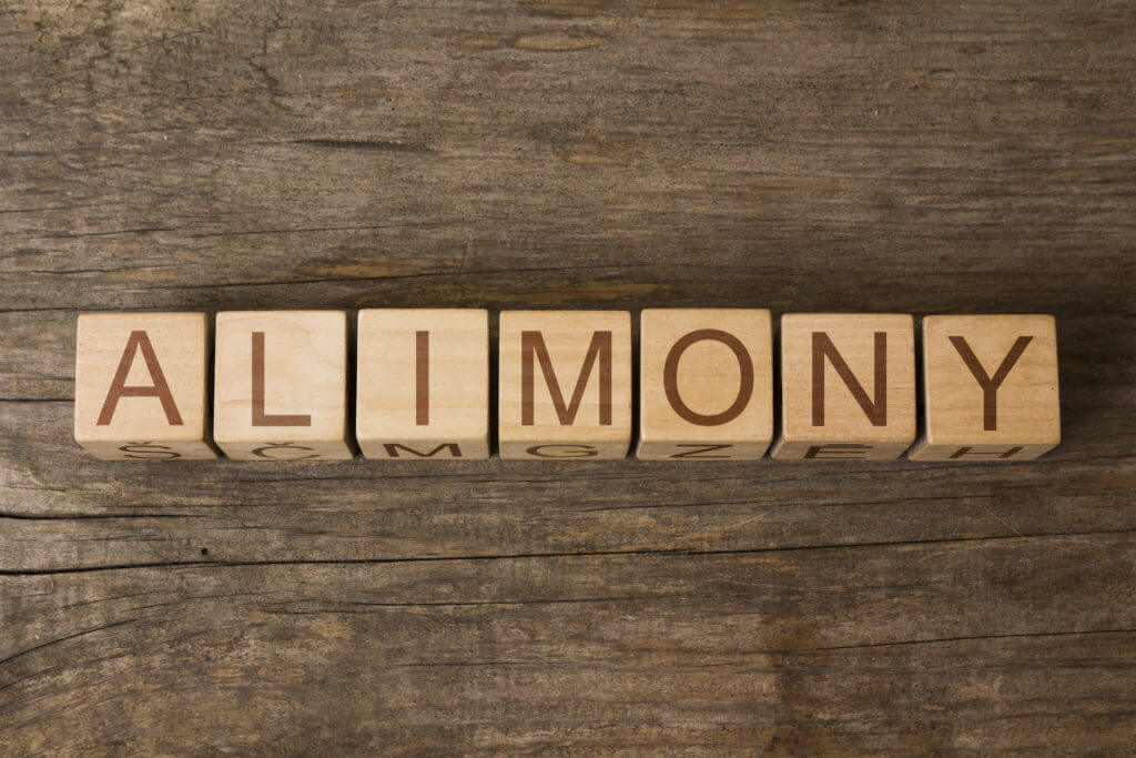 "Alimony" written with painted wooden cubes