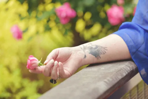 Restraining Orders, TPOs & Domestic Violence