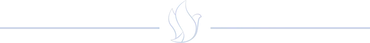 icon_with_line